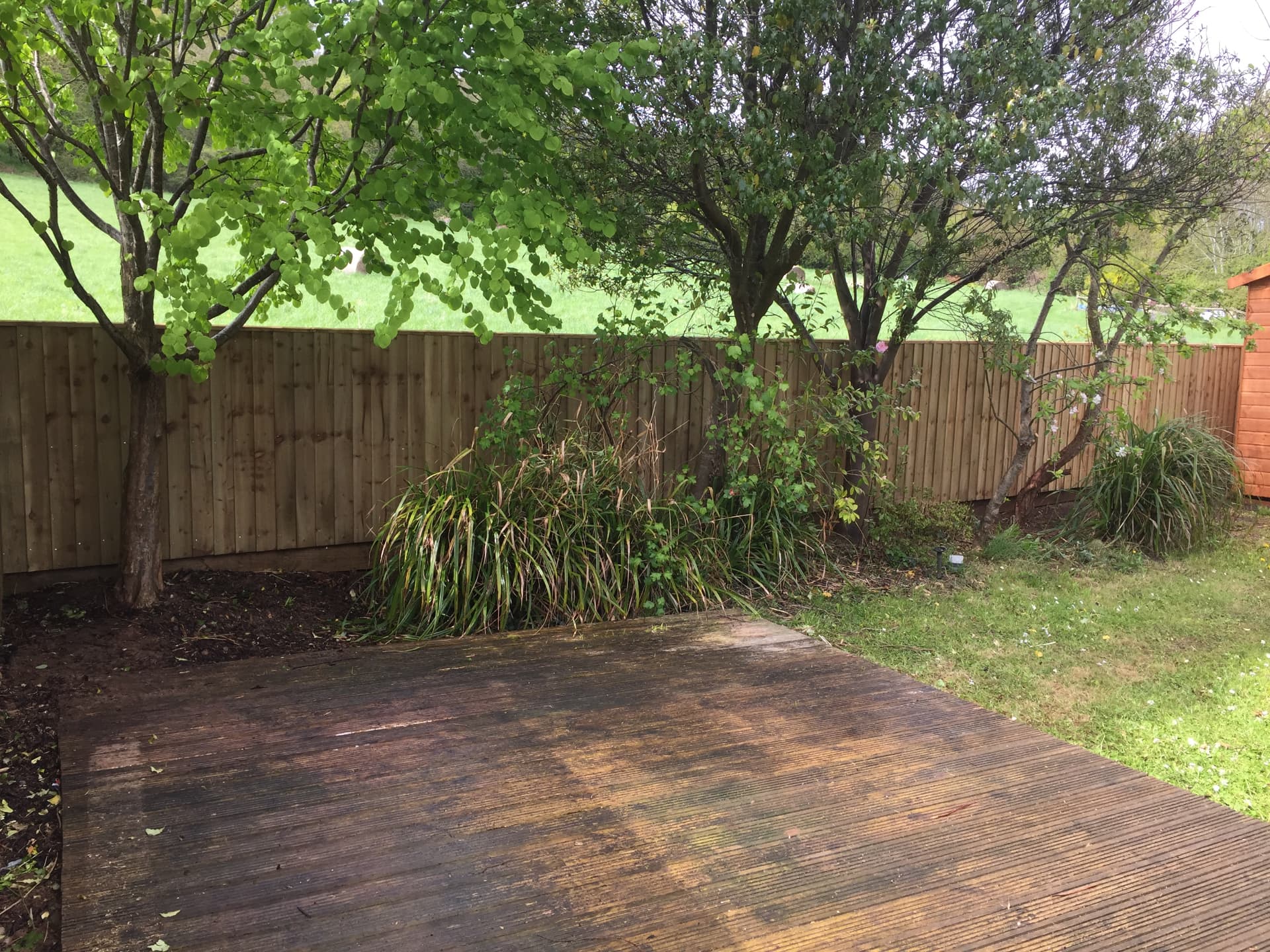 Completed feather-edge fence boundary seen from a garden with wooden decking and trees